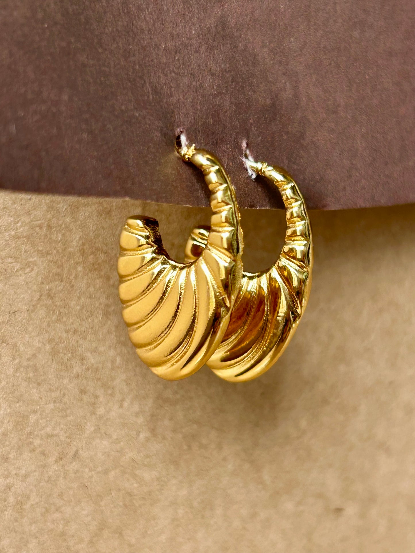 Golden Swirl Shell Hoops