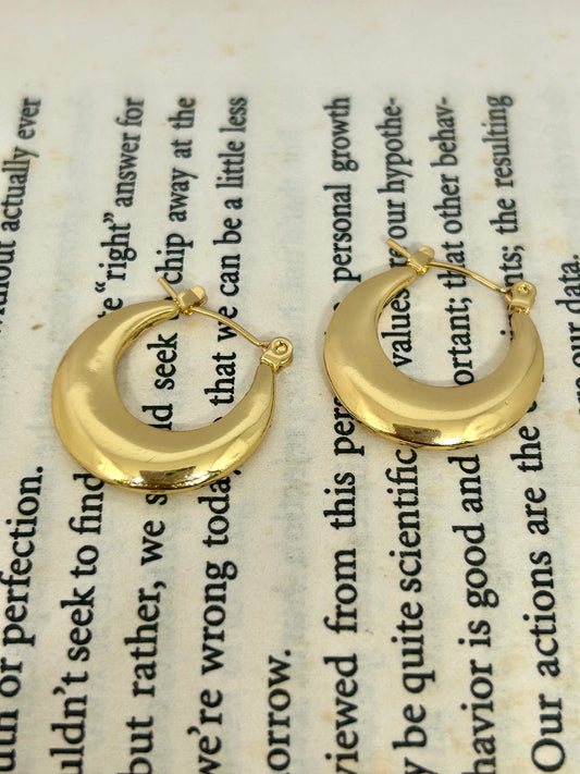 Classic Bold Hoop Earrings