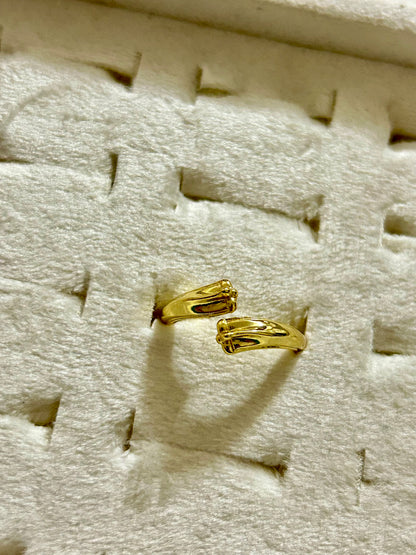 Dual Edge Ring