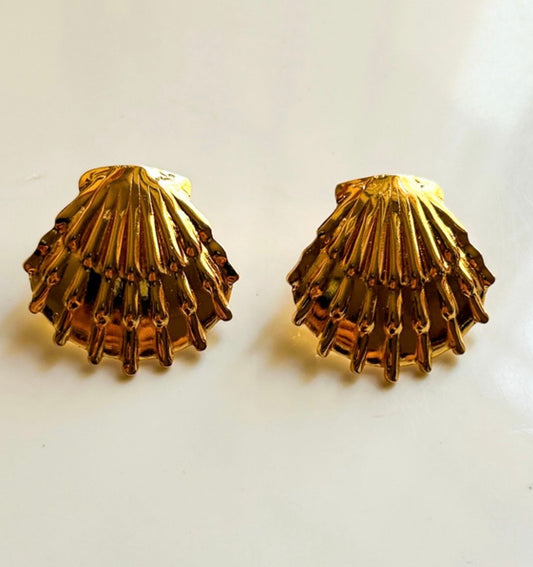 Shell Earrings