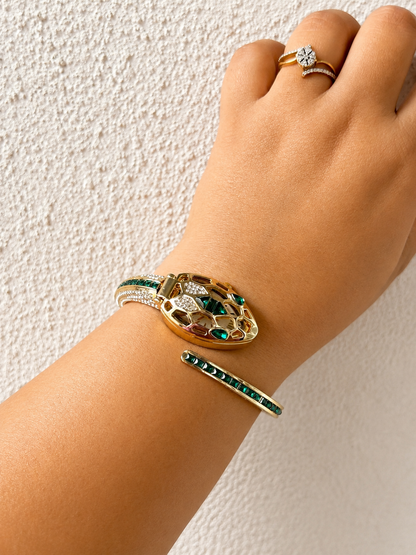 Green Face Snake Watch