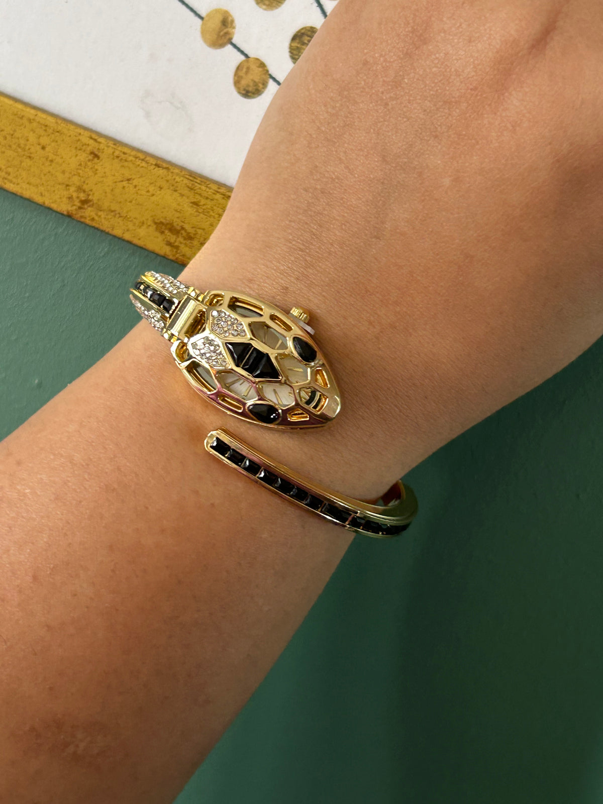 Black Face Snake Watch